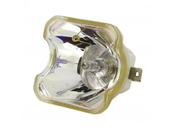 WOLF CINEMA SDC-10 - THE PUP - 2013 MODEL Ampoule d'origine uniquement WOLF CINEMA SDC-10 - THE PUP - 2013 MODEL Ampoule d'origine uniquement