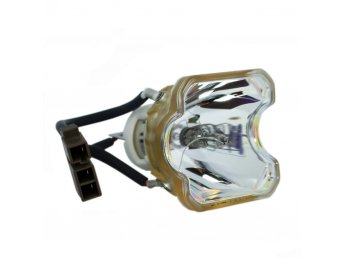 ANDERS+KERN DXL 7021 Ampoule d'origine uniquement