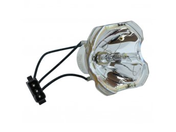 ASK E1655 Ampoule d'origine uniquement